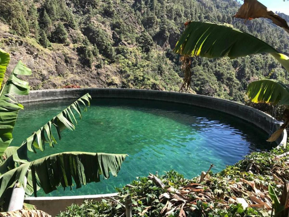 Rivendell Eco Lodge エル・パソ エクステリア 写真