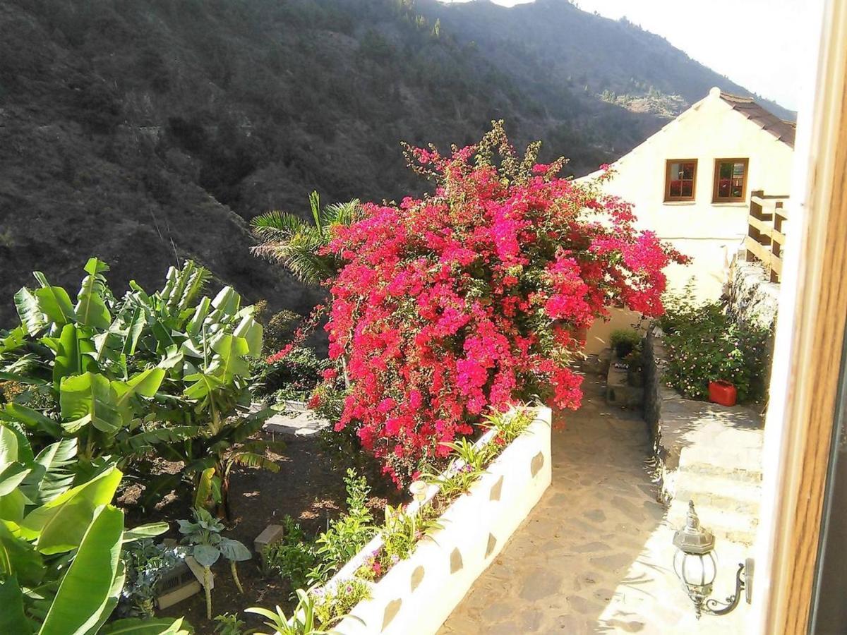Rivendell Eco Lodge エル・パソ エクステリア 写真