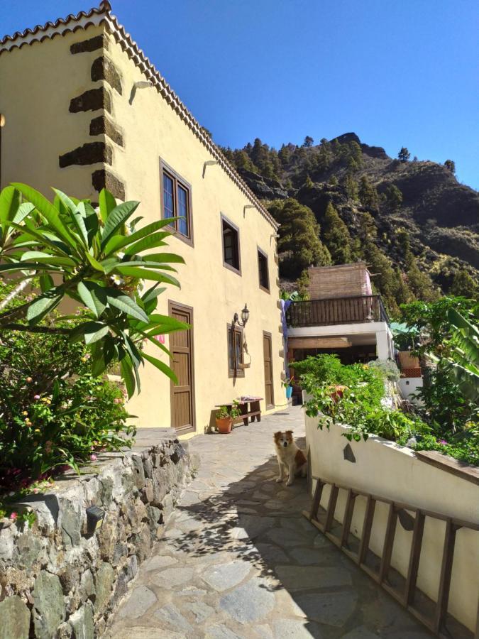 Rivendell Eco Lodge エル・パソ エクステリア 写真