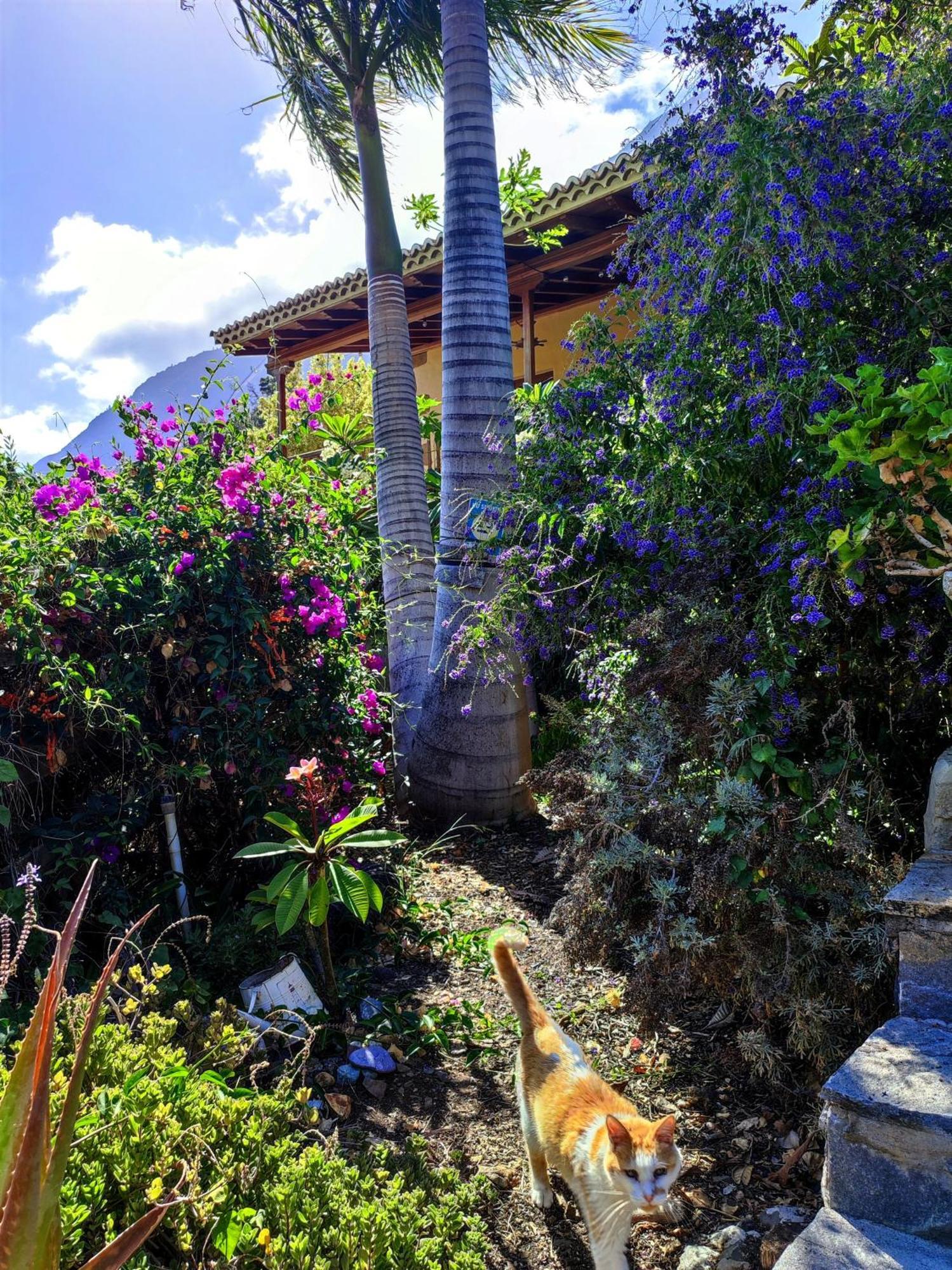 Rivendell Eco Lodge エル・パソ エクステリア 写真