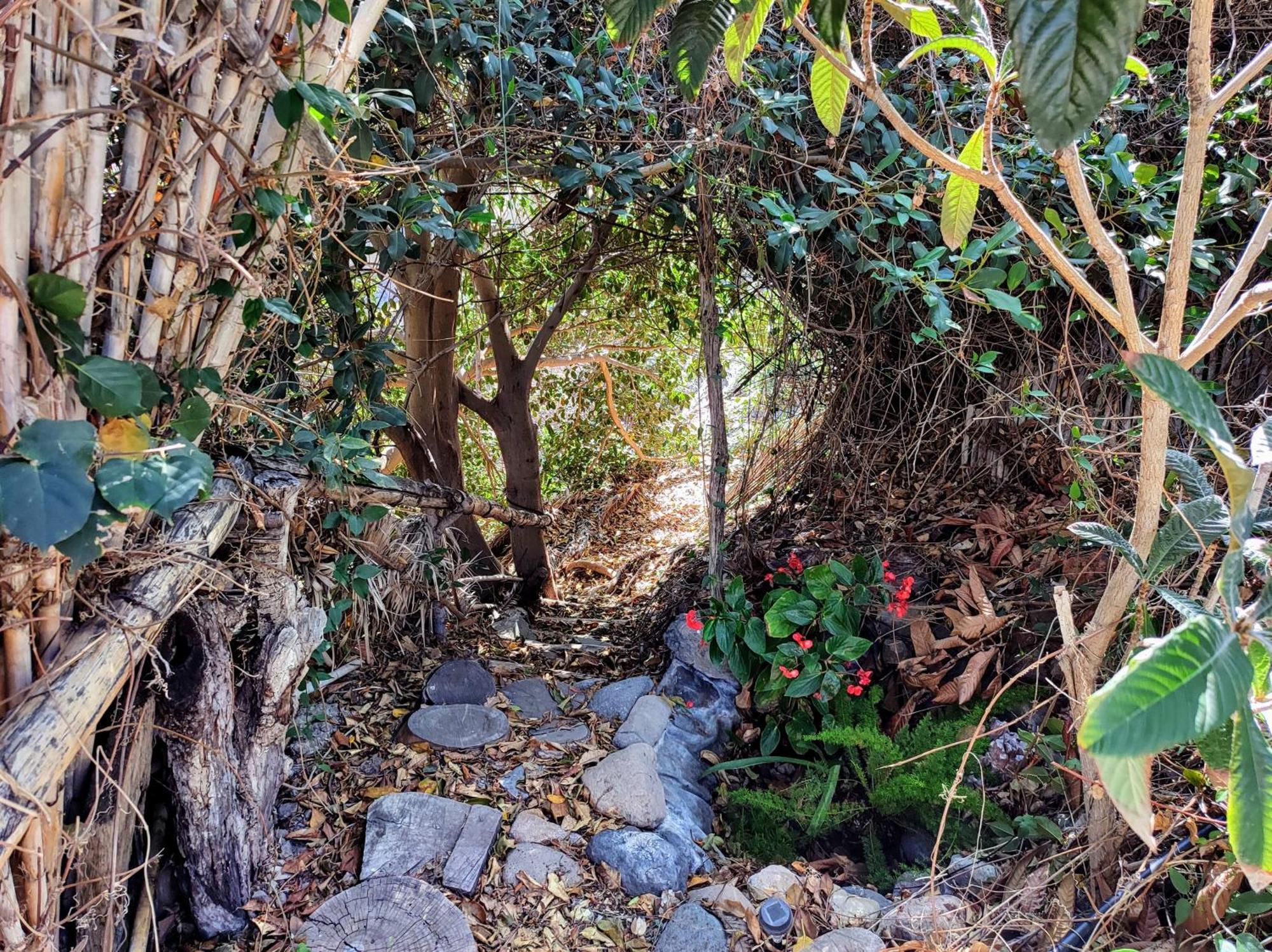 Rivendell Eco Lodge エル・パソ エクステリア 写真